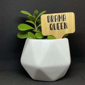 Funny Plant stakes / Plant Markers /