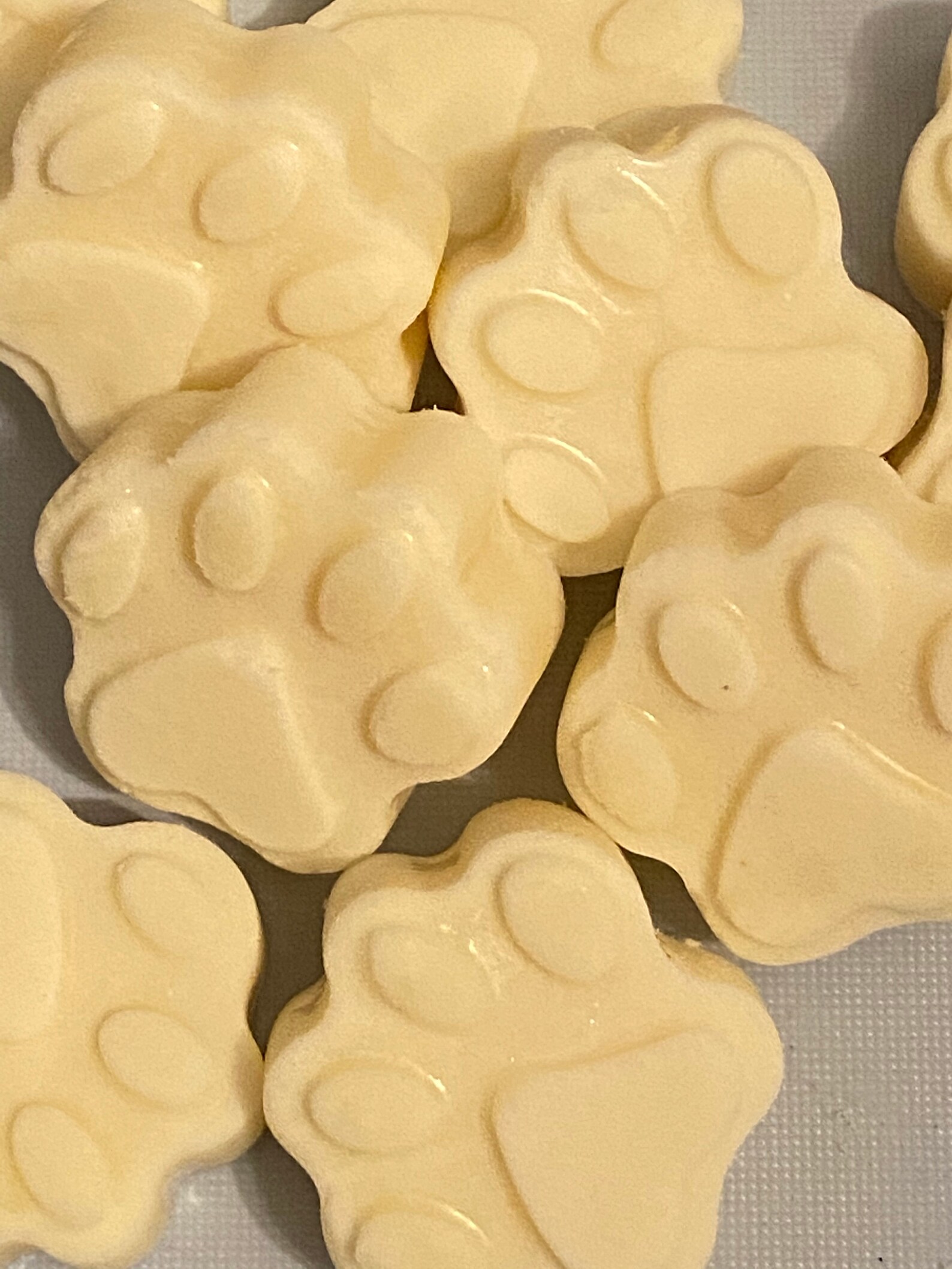 Scented Dog Paw Wax Melts X2 Etsy