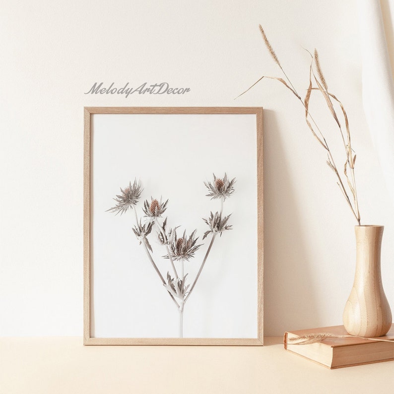 Plant Poster Flowers Photography Minimalist Wall Art Flower Prints Botanical Prints Plant Art Wildflowers Print Botanical Art