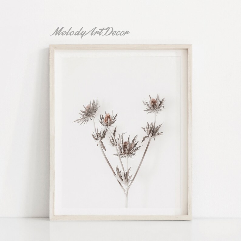 Plant Poster Flowers Photography Minimalist Wall Art Flower Prints Botanical Prints Plant Art Wildflowers Print Botanical Art