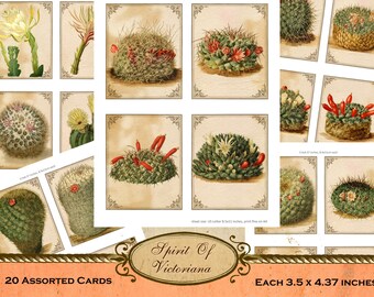 Vintage cards with cacti plants, Victorian cards, cacti plant collection, printable cards for junk journal, instant digital download