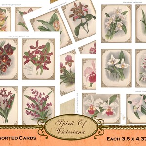 Victoriaanse kaarten, vintage kaarten met orchideeën, orchideecollectie, oude orchideeprints afdrukbare kaarten voor junk journal, instant digitale download