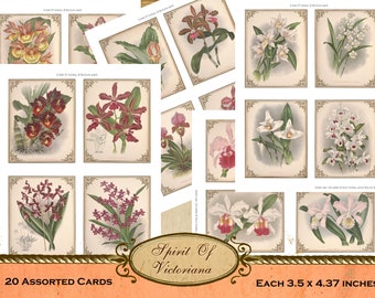 Victorian cards, vintage cards with orchids, orchid collection, old orchid prints printable cards for junk journal, instant digital download