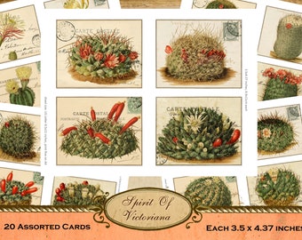 Vintage cards with cacti plants, Victorian cards, cacti plant collection, printable cards for junk journal, instant digital download