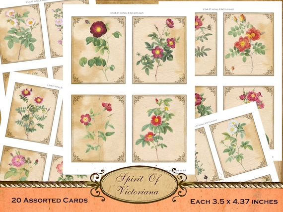 Vintage Cards With 19th Century Roses Victorian Cards Rose | Etsy
