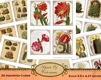 Vintage cards with cacti plants, Victorian cards, cacti plant collection, printable cards for junk journal, instant digital download