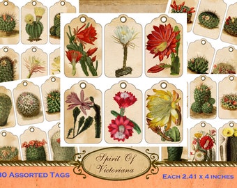 Vintage tags, labels with cacti plants, Victorian tags, cacti plant collection, printable cards for junk journal, instant digital download