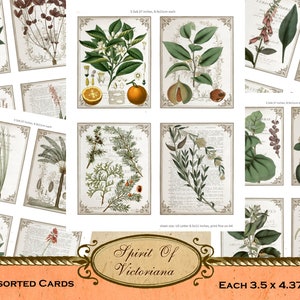 Tarjetas vintage con plantas botánicas, tarjetas victorianas, colección de plantas botánicas, tarjetas imprimibles para diario basura, descarga digital instantánea
