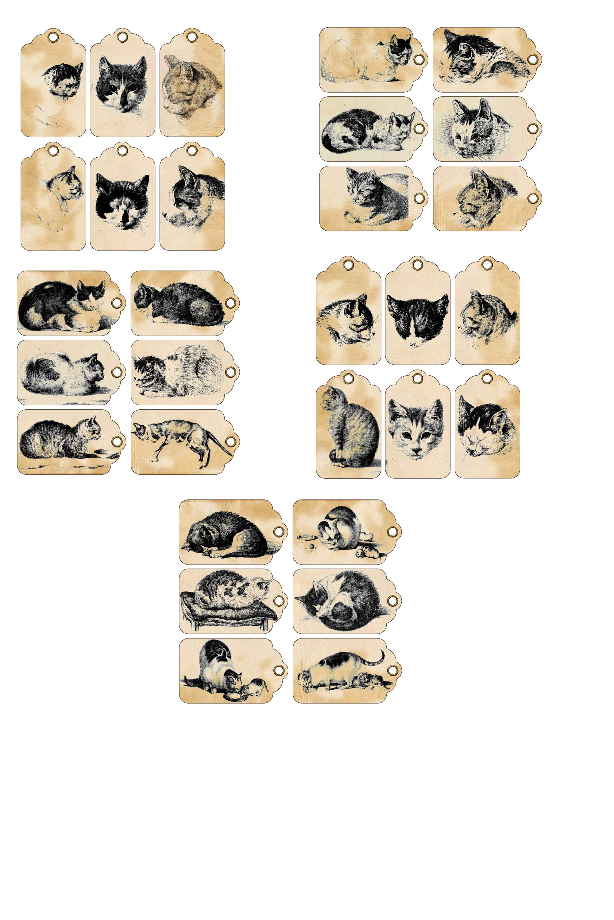 Victorian Cat Tags Labels Vintage Tags Labels With Cats - Etsy