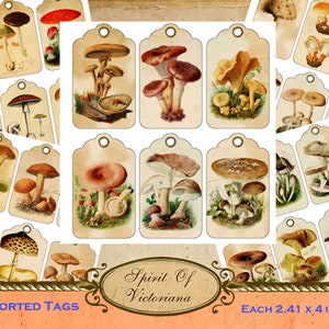 Étiquettes victoriennes, étiquettes, étiquettes vintage, étiquettes, collection de champignons, cartes imprimables de champignons champignon pour journal indésirable, téléchargement numérique instantané