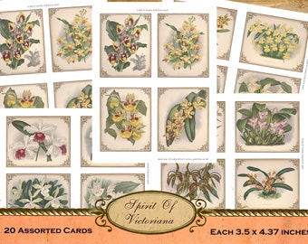 Victorian cards, vintage cards with orchids, orchid collection, old orchid prints printable cards for junk journal, instant digital download