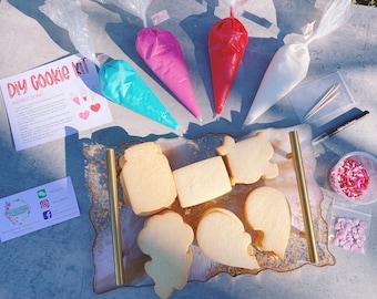 Kit de biscuits DIY pour la Saint-Valentin/ Kit de décoration de biscuits/ 15 biscuits/ Cadeau d'anniversaire/ Cadeau de la Saint-Valentin