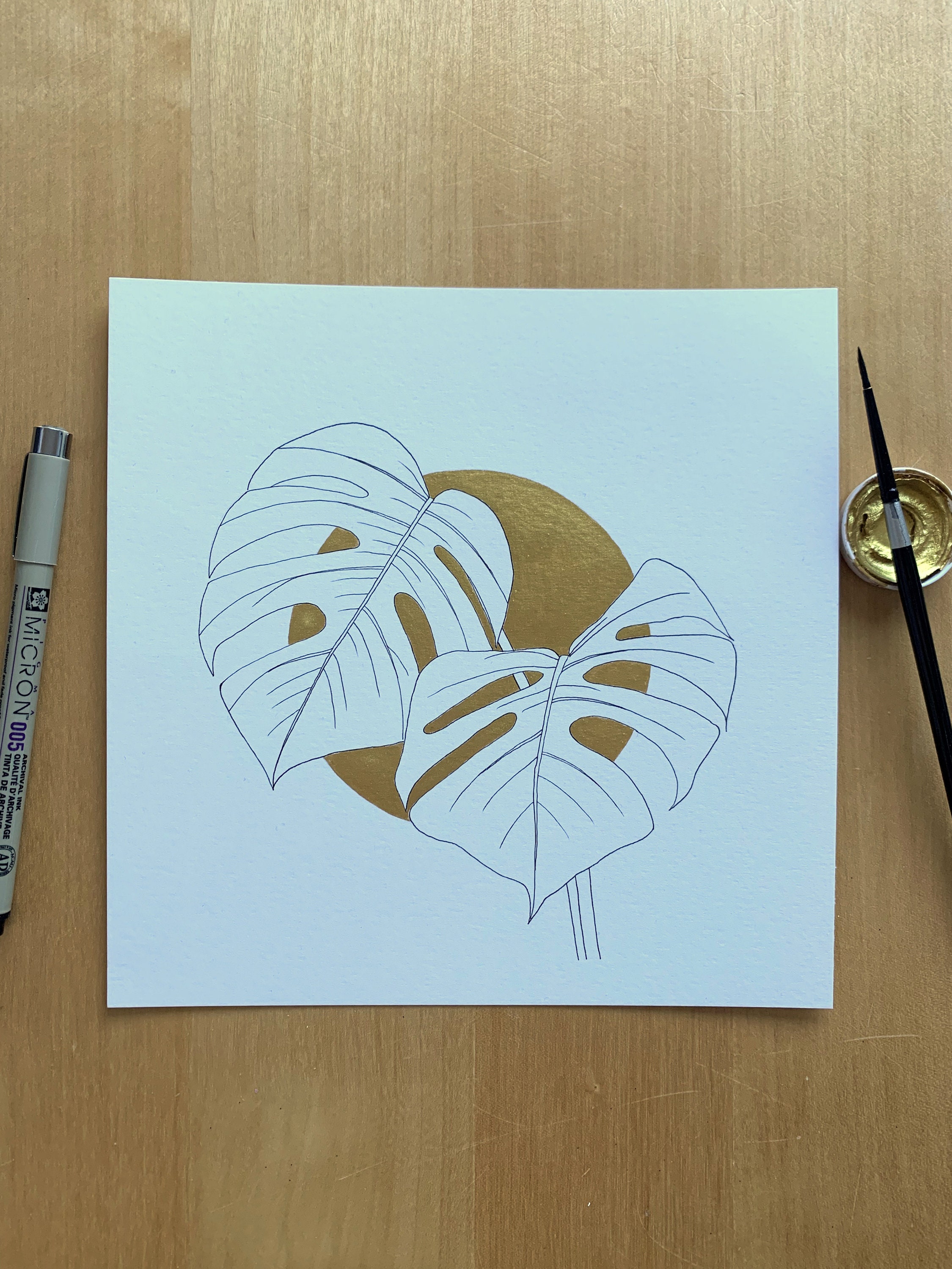 philodendron micans kaufen Philodendron micans main image 0