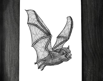 Fledermaus A5 Print