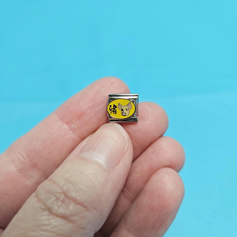 May include: A silver charm with a yellow oval background featuring a cartoon pig and the Chinese character for pig.