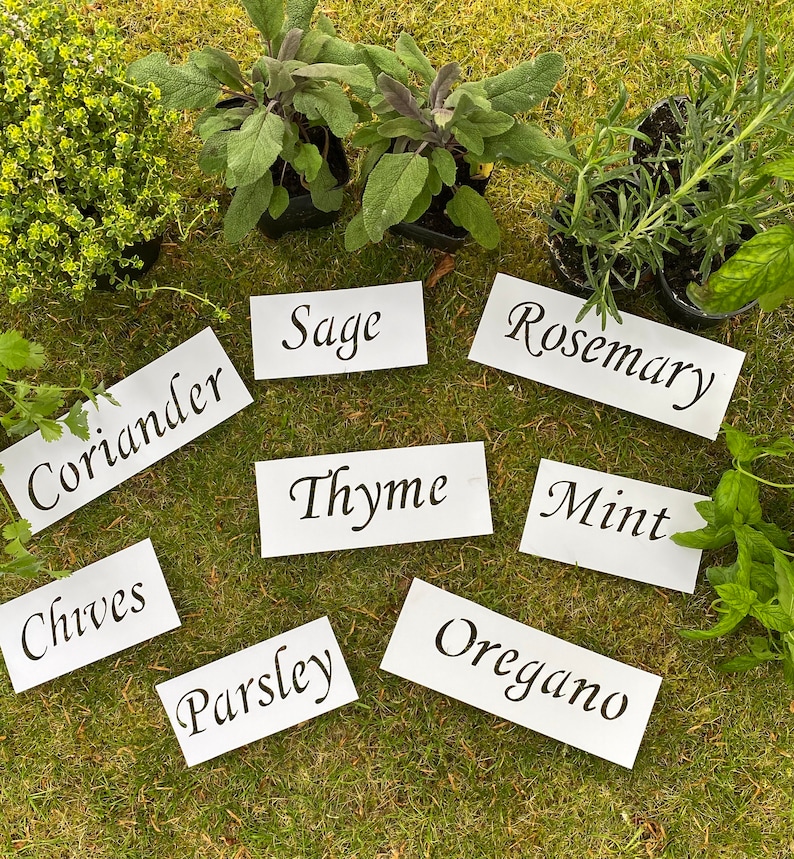 set of 6 herb garden stencils etsy