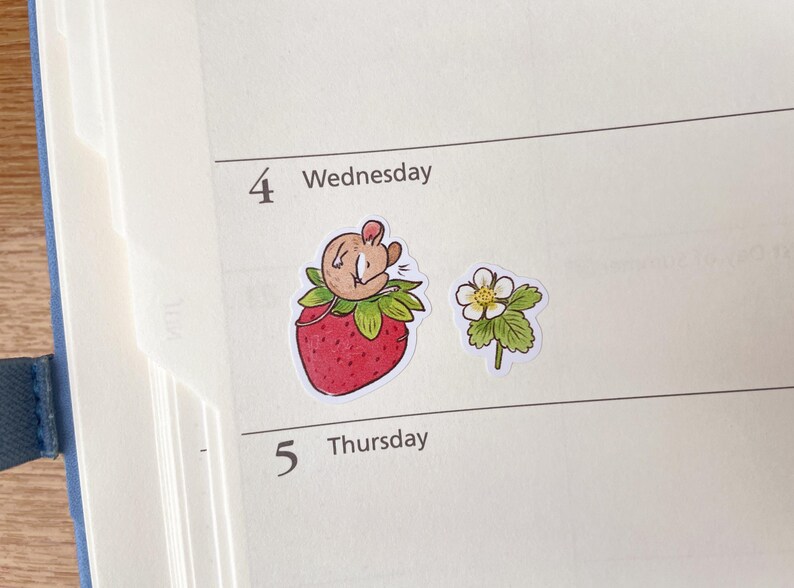 May include: A planner page with the number 4 and the word "Wednesday" written on it. There are two stickers on the page: a strawberry with a mouse sleeping on top of it and a white flower with green leaves.