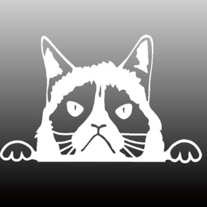 May include: A white silhouette of a grumpy cat peeking over a surface with its paws on the edge. The cat has black markings around its eyes and a black nose.
