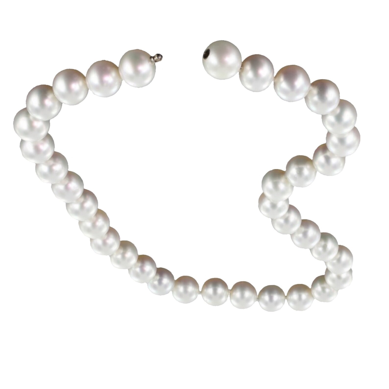 Transparent Pearls Png File Digital File Pearls Pearl - Etsy