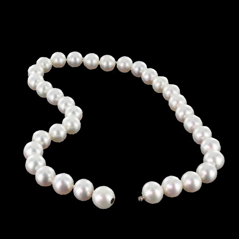 Transparent Pearls Png File Digital File Pearls Pearl Necklace ...