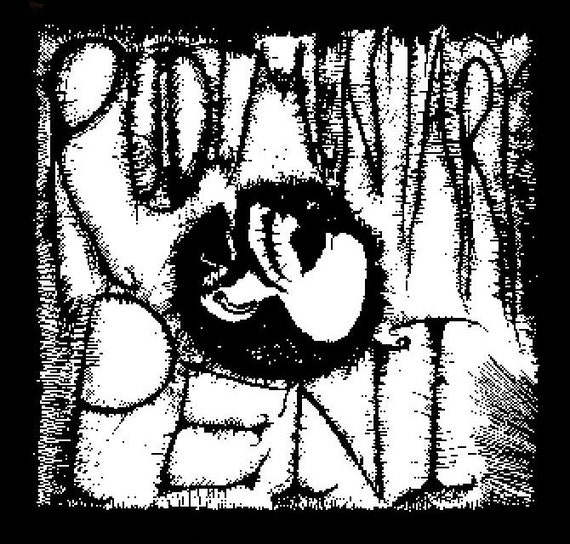 Rudimentary Peni band stickers
