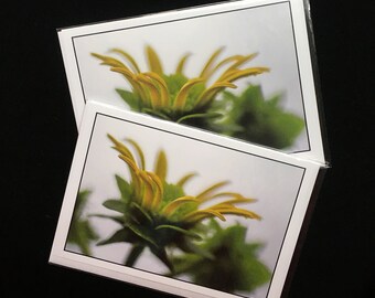 Wildblumen Briefkarten, 13x20 gefaltet, passender Umschlag, 1 Paar.