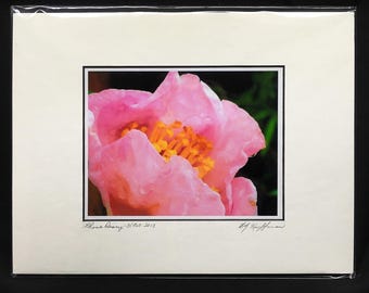 Pink Flower Photo Print: Mattierter iPhone Kunstdruck, fertig zum Rahmen