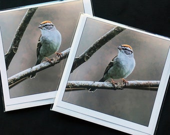 Kärtchen mit Spatz - innen blanko, Pigmenttinte, Fotoabzug (Paar)