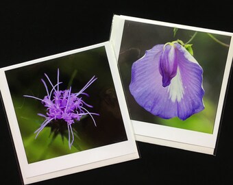Wildblumen Grußkarten, quadratisch, gefaltet, mit Umschlag, in einzeln versiegelter Plastiktüte, Paar