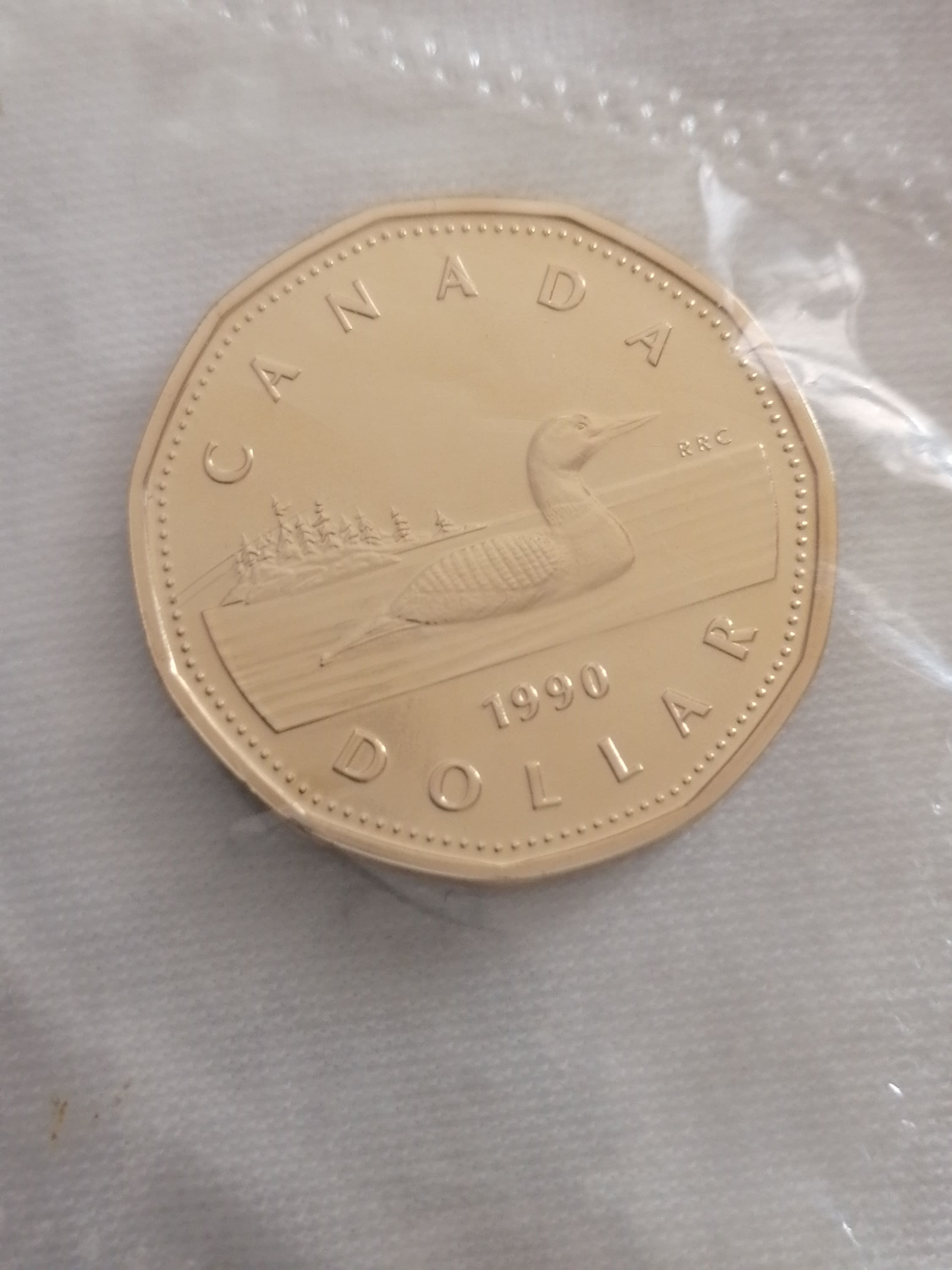 1989 CANADA LOONIE PROOF ONE DOLLAR HEAVY CAMEO COIN 