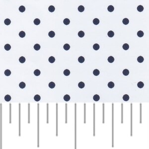 a ruler with blue dots and a white background