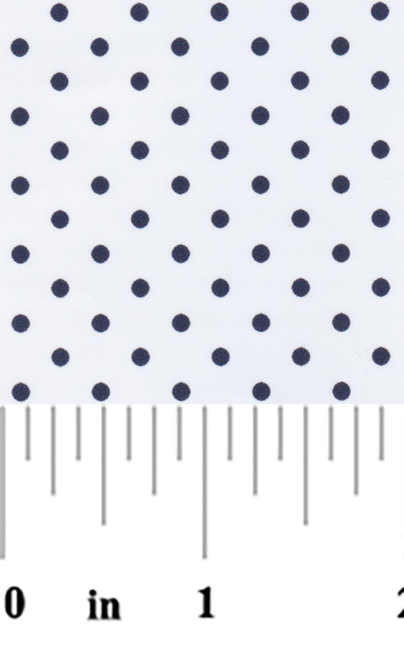 a ruler with blue dots and a white background