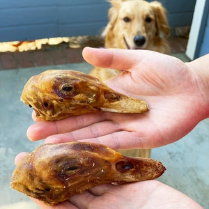 Dehydrated Duck Head, 100% Single Ingredient, Homemade, Natural Healthy Dog training treats, Chewable, Vacuum Sealed for Freshness image 4