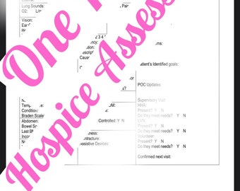 May include: A white form with black text titled "One Page Assessment" with sections for patient information, vital signs, and a hospice assessment.