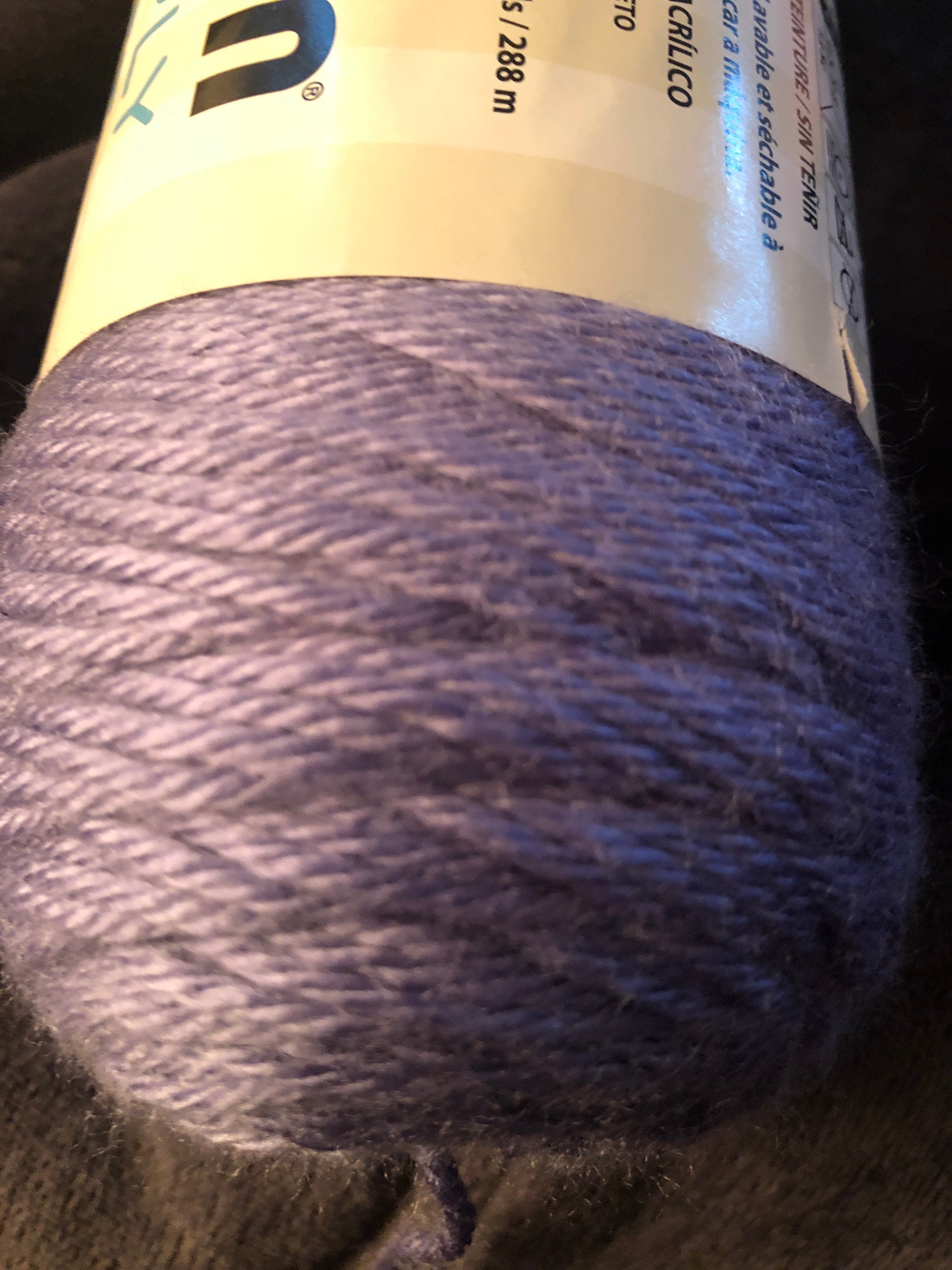 Caron Simply Soft Yarnspirations 6oz PF Etsy