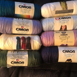 Caron Simply Soft Yarnspirations 6oz PF