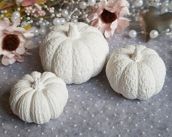 Kürbis Deko | Beton Kürbise | 3Stück = 1Set | Beton Deko | Terassen ~ Home ~ Garten Dekor | Herbstdeko | Farbe weis
