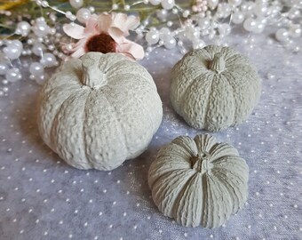 Kürbis Deko | Beton Kürbise | 3Stück = 1Set | Beton Deko | Terassen ~ Home ~ Garten Dekor | Herbstdeko | Farbe Hellgrau