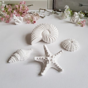 Maritime concrete Raysin decoration SEA in a SET of 4 - starfish, sea urchin, snail and shell, color white / beach decoration