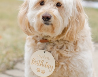 New Puppy Gift, Puppy Milestone Engraved Wooden Disc Set, Puppy Birth Announcement, Puppy Girl, Hangs on Puppy Collar, Gift Basket