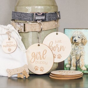 May include: Two wooden round tags with the text "just born" and "girl puppy" with paw prints. The tags are attached to a silver chain and are hanging from a grey and beige dog collar.