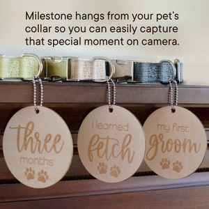 May include: Three wooden dog collar tags with paw prints. The tags say "three months", "i learned fetch", and "my first groom".