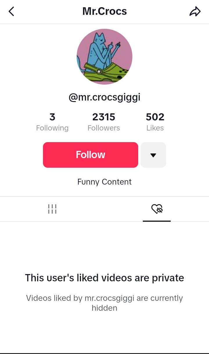 1000 Tiktok Followers Real Accounts - Etsy