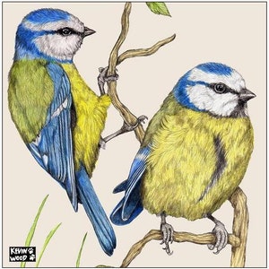 Porta-copos de cerâmica Blue Tits com cartão-presente e envelope por Kevin Wood