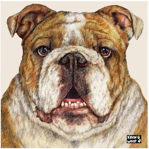English bulldog clearance puzzle