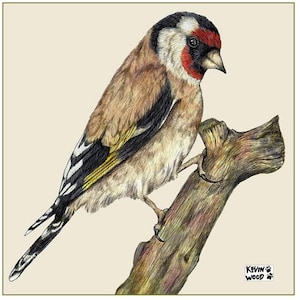 Porta-copos de cerâmica Goldfinch com cartão-presente e envelope por Kevin Wood