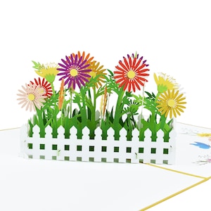 Daisy Flower Garden Pop Up Carte de vœux pour anniversaire Anniversaire de remise des diplômes Merci Get-Well Retirement Toutes les occasions