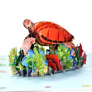 Carte pop-up 3D tortue, carte d'anniversaire pop-up océan, toutes les occasions