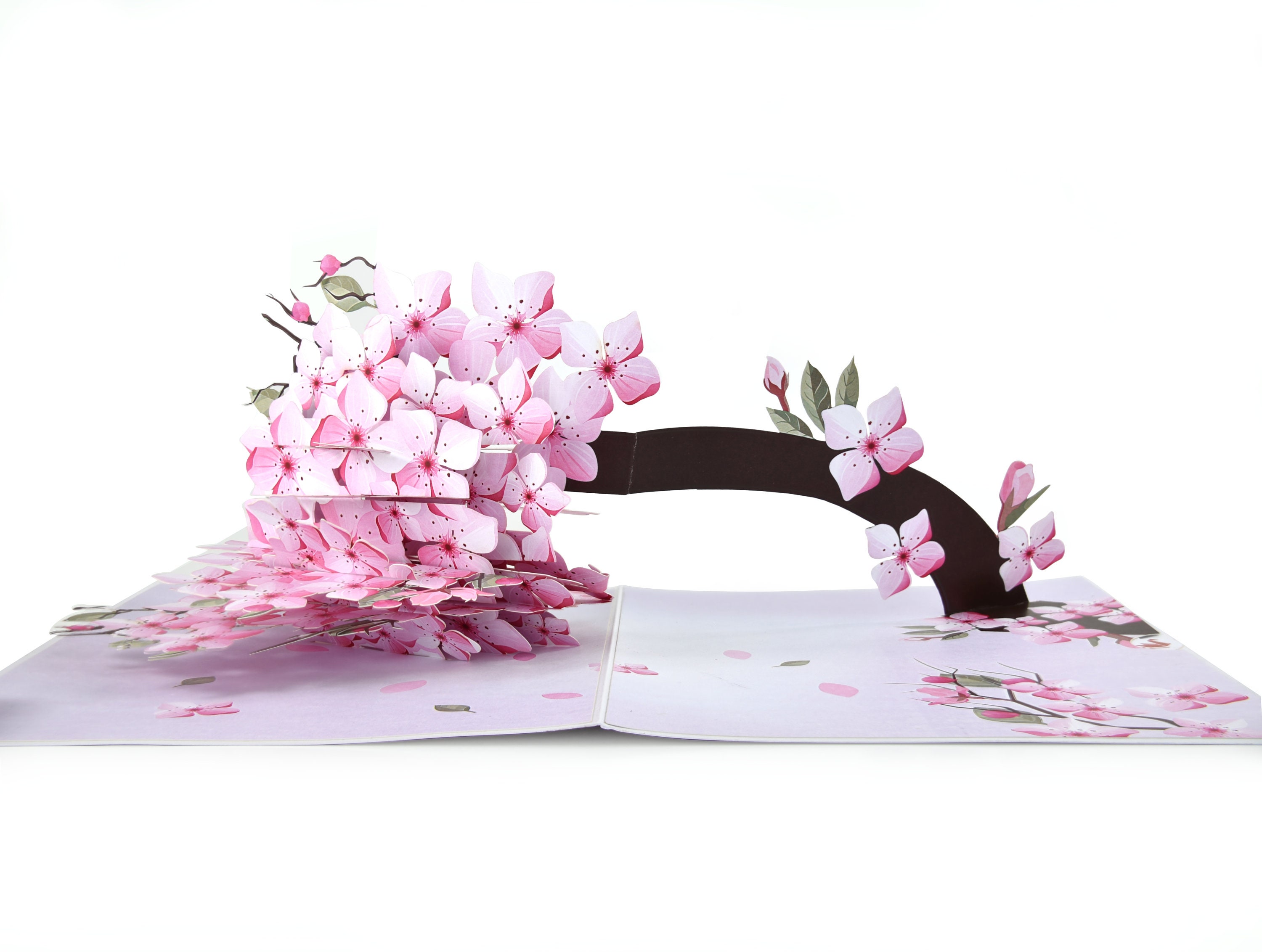 Cherry Blossom Pop Up Birthday Card, Mothers Day Card, Anniversary Card, All Occasions