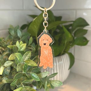 May include: A gold key chain with a clear acrylic charm featuring a cartoon illustration of a light brown dog. The dog is standing on all four paws and has a fluffy tail.